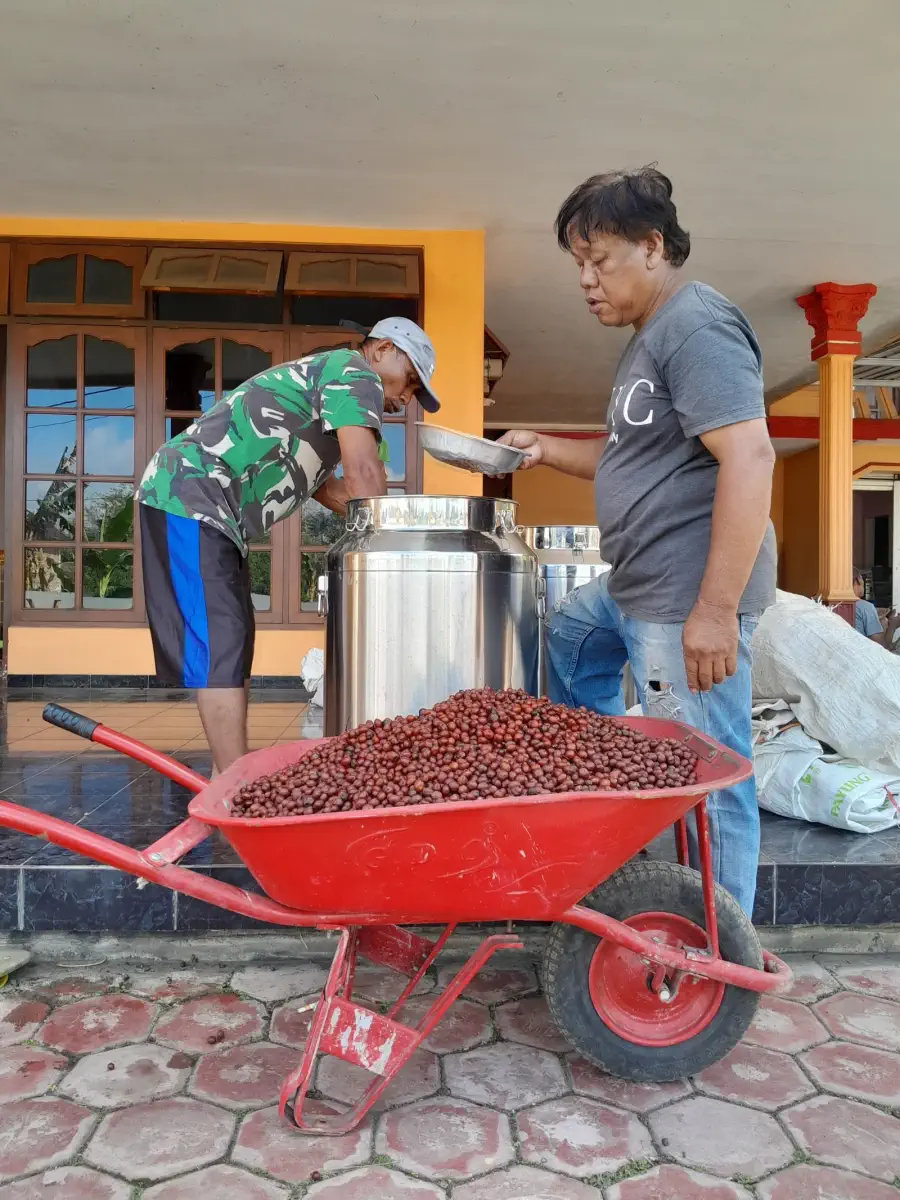 Dokumentasi pasca panen kopi AGA Agriculture – foto 10.