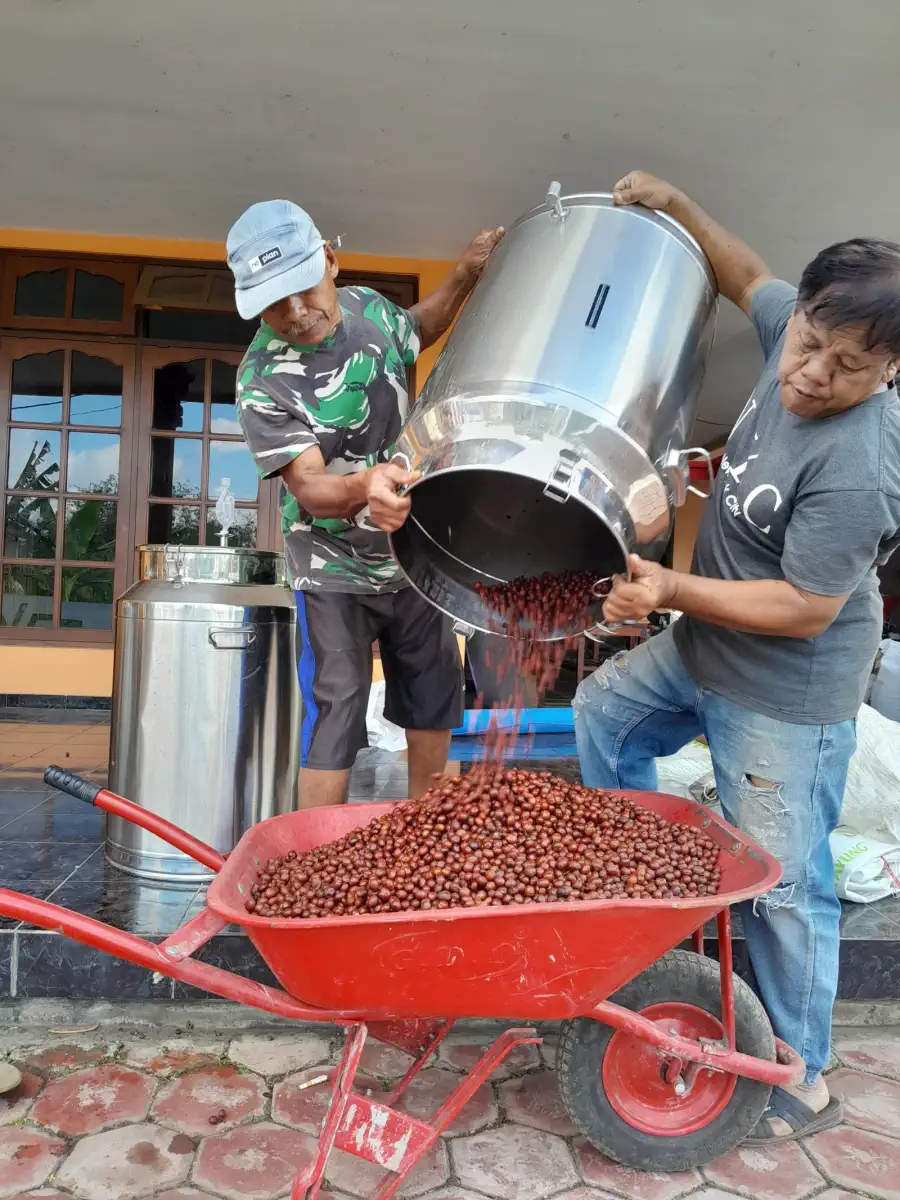 Dokumentasi pasca panen kopi AGA Agriculture – foto 11.