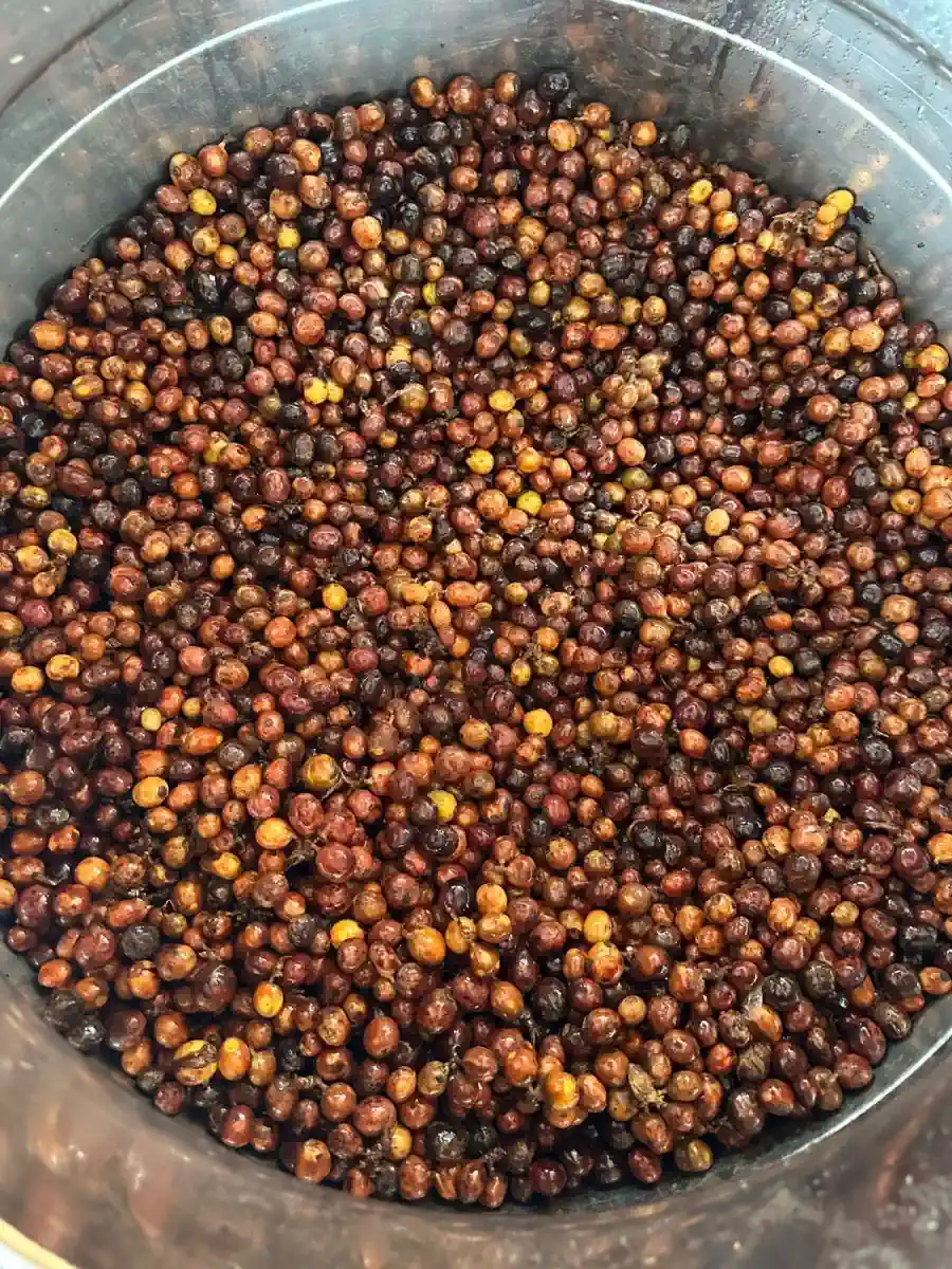 Dokumentasi pasca panen kopi AGA Agriculture – foto 13.