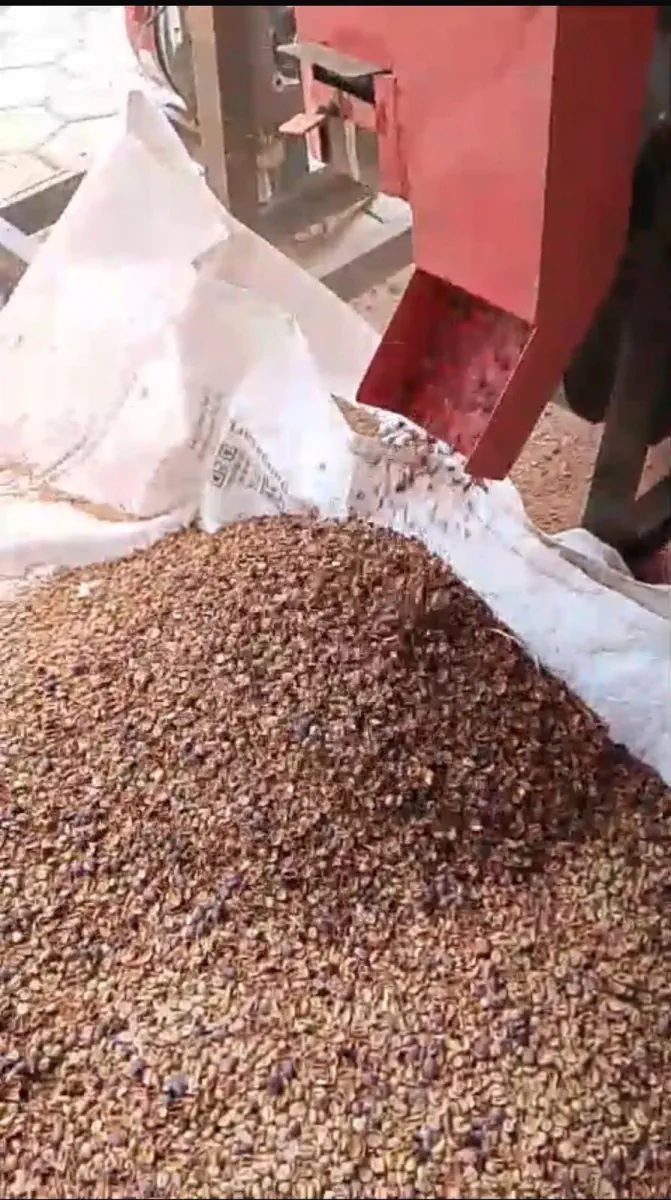 Dokumentasi pasca panen kopi AGA Agriculture – foto 20.