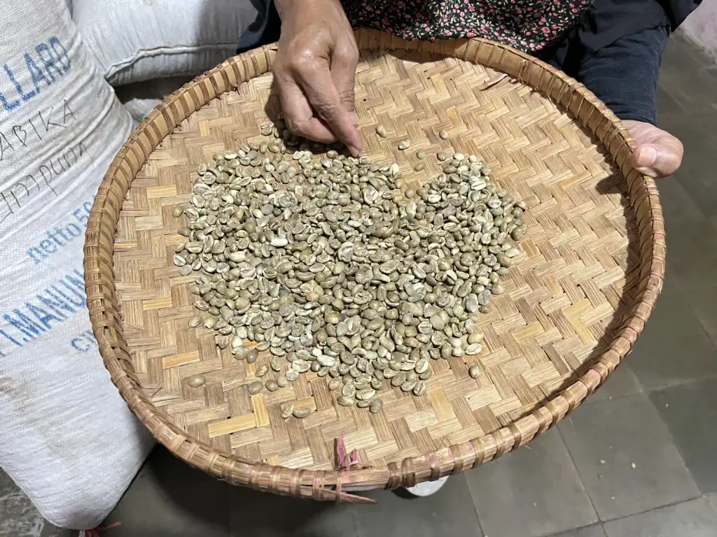 Dokumentasi pasca panen kopi AGA Agriculture – foto 25.