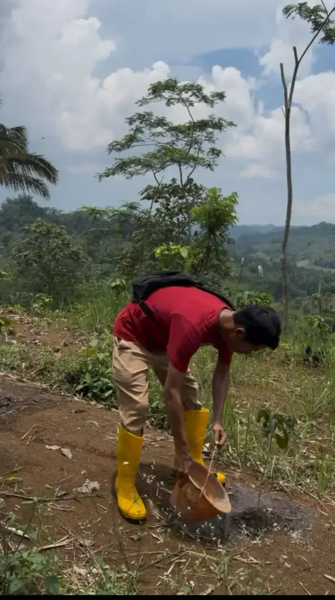 Dokumentasi pemetikan kopi AGA Agriculture – foto 19.