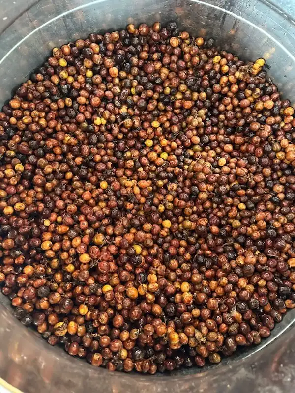 Tangki tertutup untuk fermentasi anaerob kopi