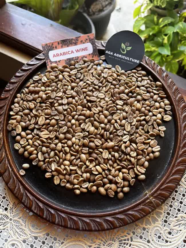 Arabica Anaerob