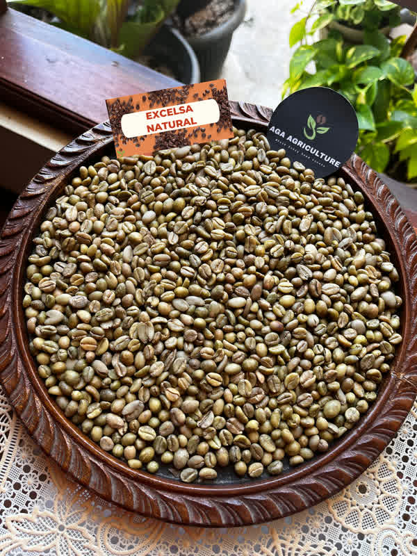 Excelsa Natural